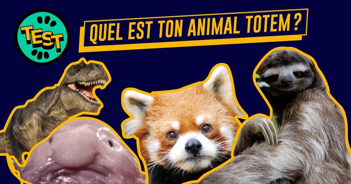 Discover Your Spirit Guide: The Power of the “Test Animal Totem” Experience